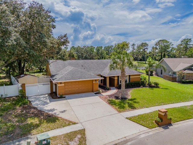 1409 HOLLEMAN, Valrico, FL 33596