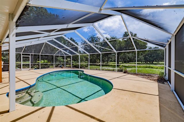 1409 HOLLEMAN, Valrico, FL 33596