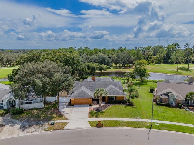 1409 HOLLEMAN, Valrico, FL 33596