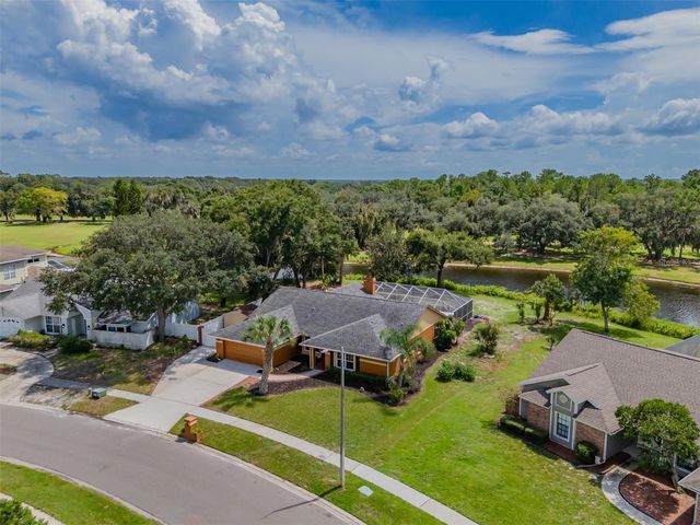 1409 HOLLEMAN, Valrico, FL 33596