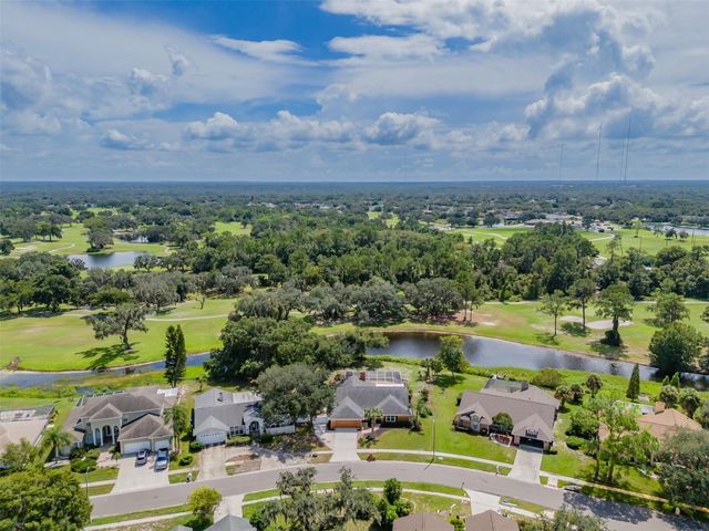 1409 HOLLEMAN, Valrico, FL 33596