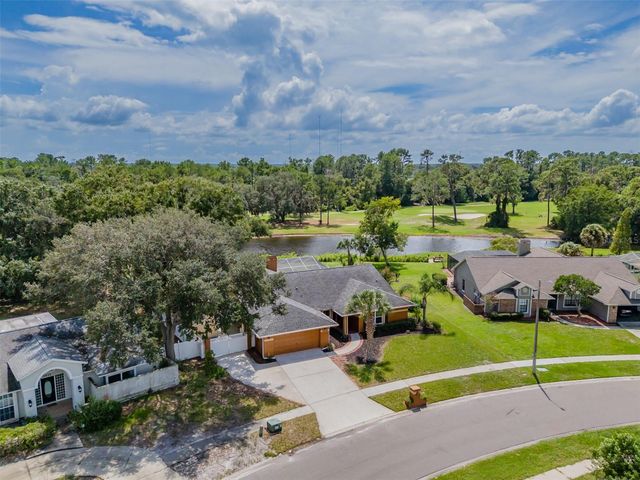 1409 HOLLEMAN, Valrico, FL 33596