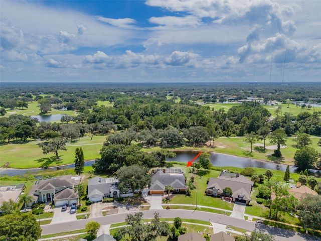 1409 HOLLEMAN, Valrico, FL 33596