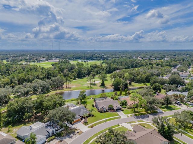 1409 HOLLEMAN, Valrico, FL 33596