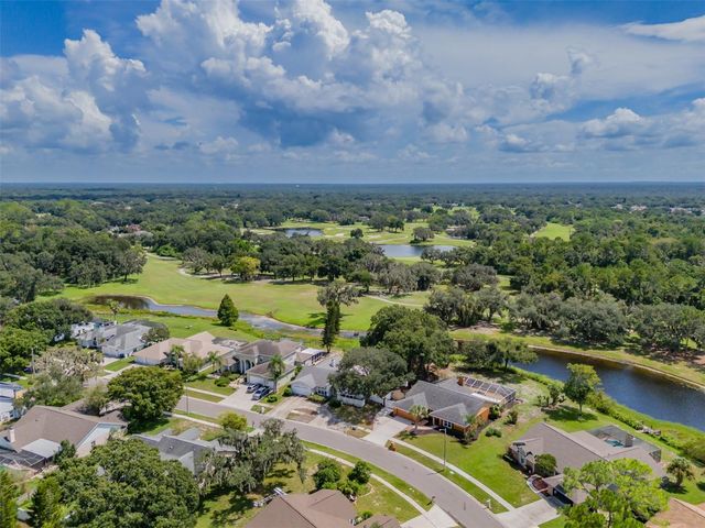 1409 HOLLEMAN, Valrico, FL 33596