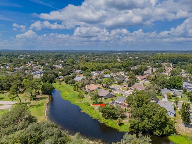 1409 HOLLEMAN, Valrico, FL 33596