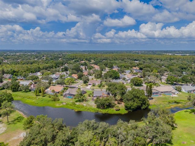 1409 HOLLEMAN, Valrico, FL 33596