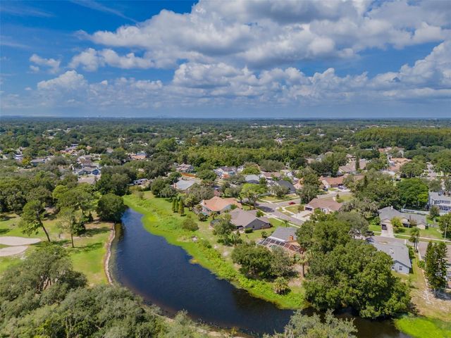 1409 HOLLEMAN, Valrico, FL 33596