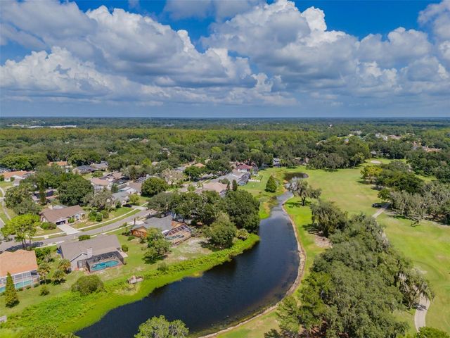 1409 HOLLEMAN, Valrico, FL 33596