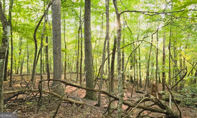 LOT 20 Seye Wailo Trail, Clarkesville, GA 30523