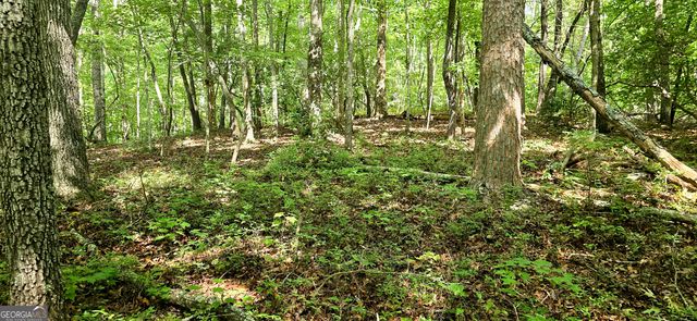 LOT 20 Seye Wailo Trail, Clarkesville, GA 30523