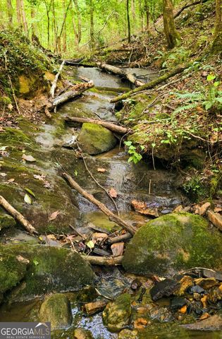 LOT 20 Seye Wailo Trail, Clarkesville, GA 30523