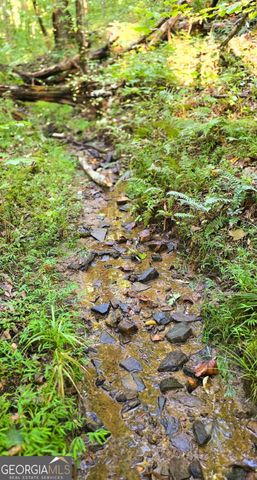 LOT 20 Seye Wailo Trail, Clarkesville, GA 30523