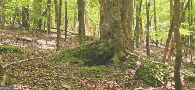 LOT 20 Seye Wailo Trail, Clarkesville, GA 30523