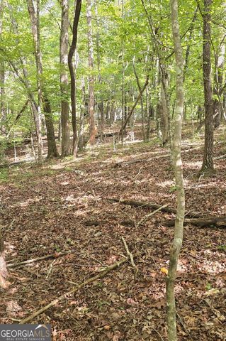 LOT 20 Seye Wailo Trail, Clarkesville, GA 30523