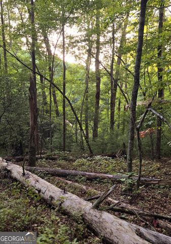 LOT 20 Seye Wailo Trail, Clarkesville, GA 30523
