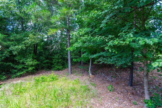 3014 CR 3550, Holly Lake Ranch, TX 75765