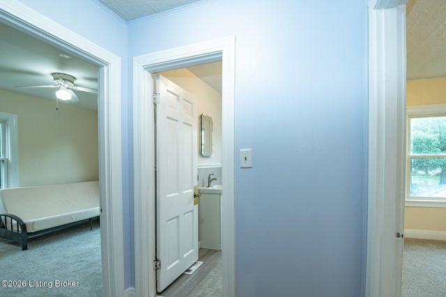515 Churchill Ct, Elizabethtown, KY 42701