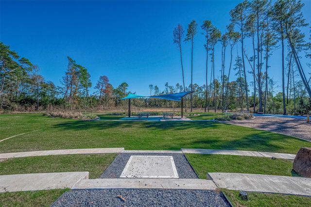 804 Village Brook Drive, Willis, TX 77378