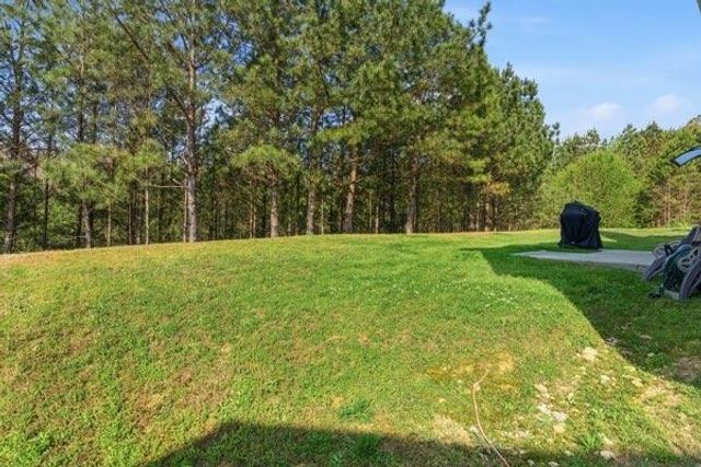 4925 Locherby Drive, Fairburn, GA 30213