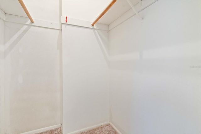 8309 TUPELO DRIVE, Tampa, FL 33637