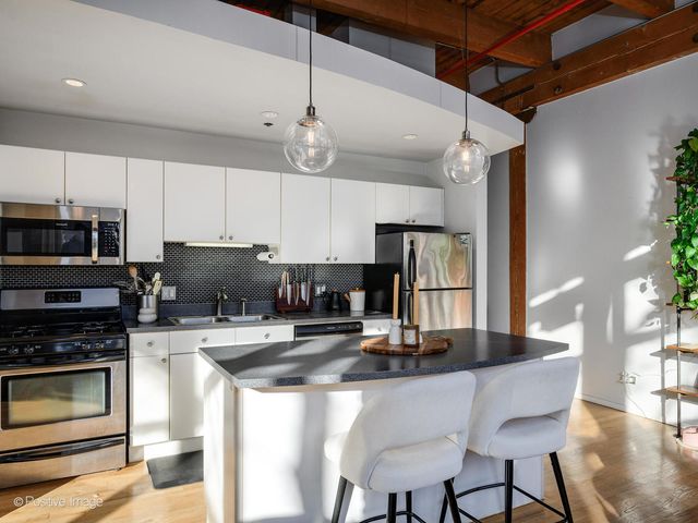 2300 W Wabansia Avenue 204, Chicago, IL 60647