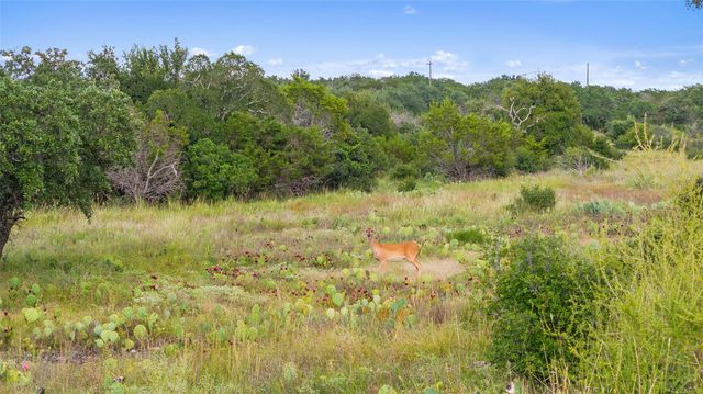 TBD W RR 962, Round Mountain, TX 78663