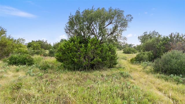 TBD W RR 962, Round Mountain, TX 78663