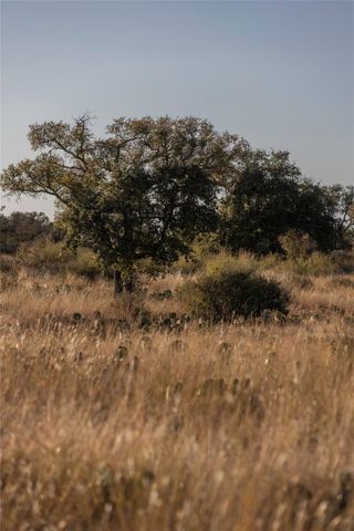 TBD W RR 962, Round Mountain, TX 78663