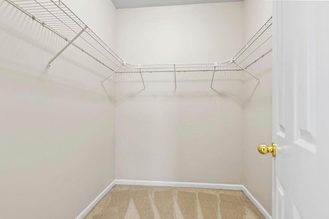 115 Trillium Avenue, Summerville, SC 29483