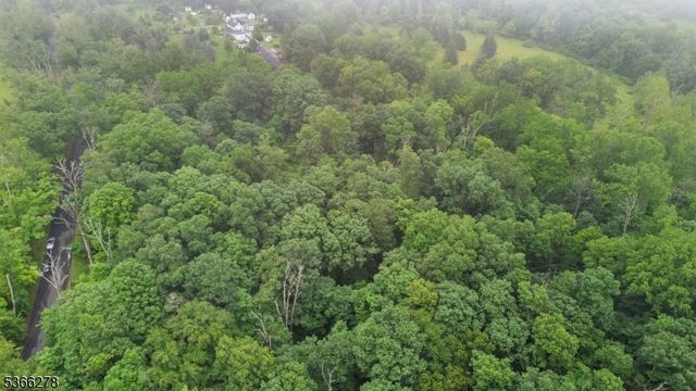 148 Tumble Falls Rd, Kingwood Twp., NJ 08559