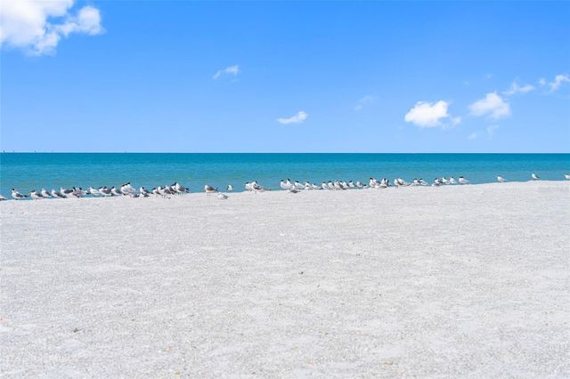 3100 GULF BOULEVARD 431, Belleair Beach, FL 33786