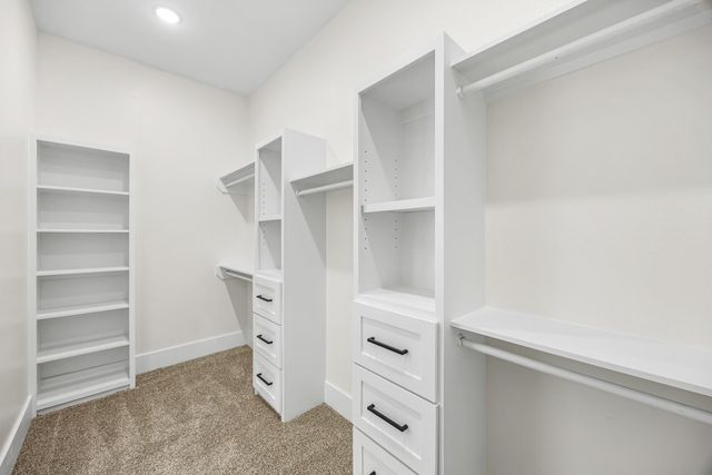 909 Santa Anna Lane, La Porte, TX 77571