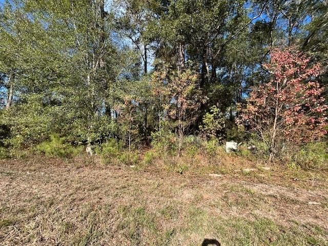 1964 County Road 3434, North Cleveland, TX 77327