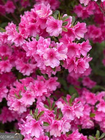 3420 Chattahoochee Road, Cumming, GA 30041