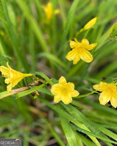 3420 Chattahoochee Road, Cumming, GA 30041