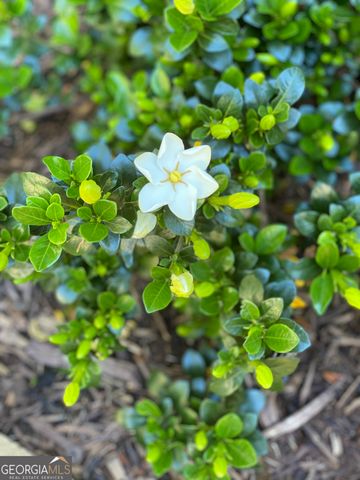 3420 Chattahoochee Road, Cumming, GA 30041