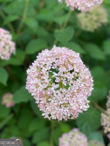 3420 Chattahoochee Road, Cumming, GA 30041