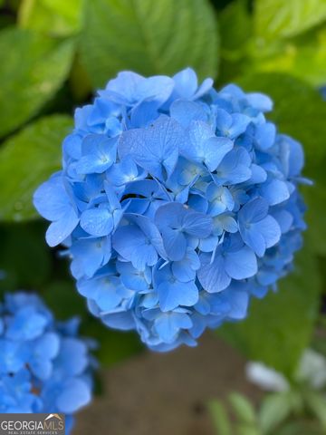 3420 Chattahoochee Road, Cumming, GA 30041