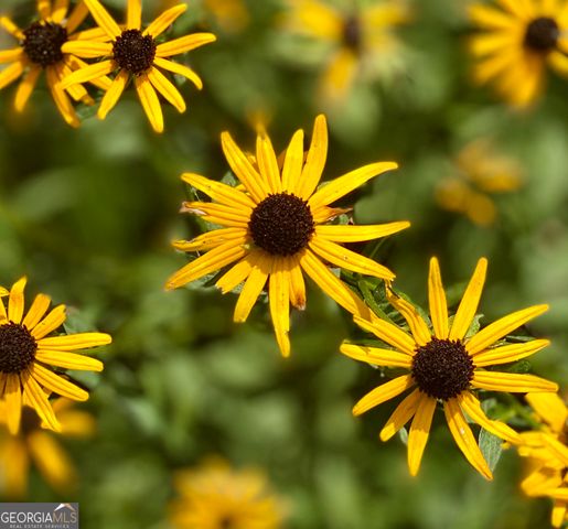 3420 Chattahoochee Road, Cumming, GA 30041