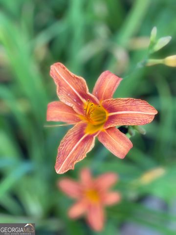 3420 Chattahoochee Road, Cumming, GA 30041