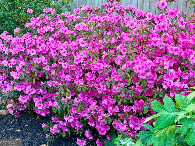 3420 Chattahoochee Road, Cumming, GA 30041