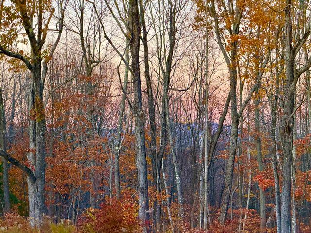 60 North Wakefield Road, Wolfeboro, NH 03894