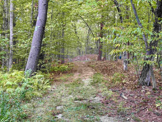 60 North Wakefield Road, Wolfeboro, NH 03894