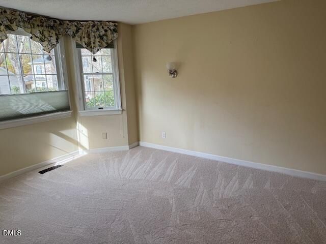 309 Baneberry Close, Pittsboro, NC 27312