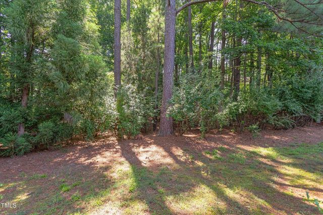 309 Baneberry Close, Pittsboro, NC 27312