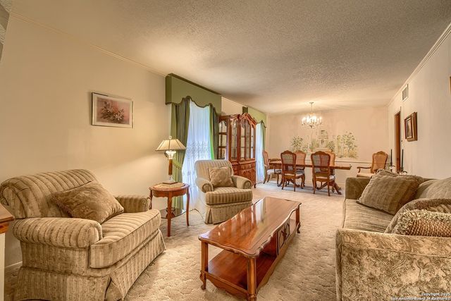 207 Mary Louise Drive, San Antonio, TX 78201