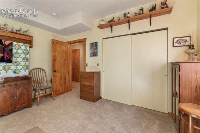 567 County Road 31, Florissant, CO 80816