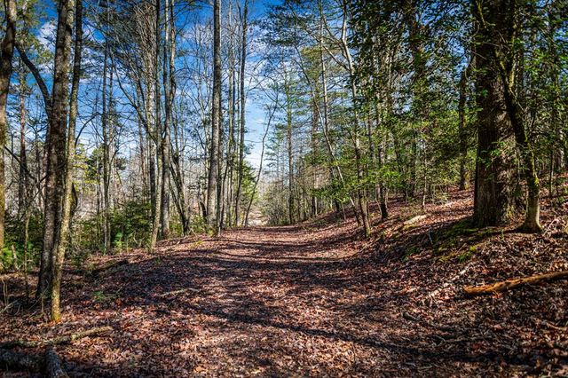Tract C Captains Cove, Blairsville, GA 30512