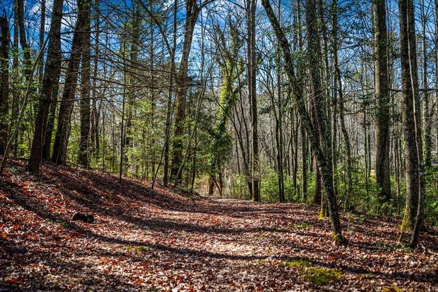 Tract C Captains Cove, Blairsville, GA 30512